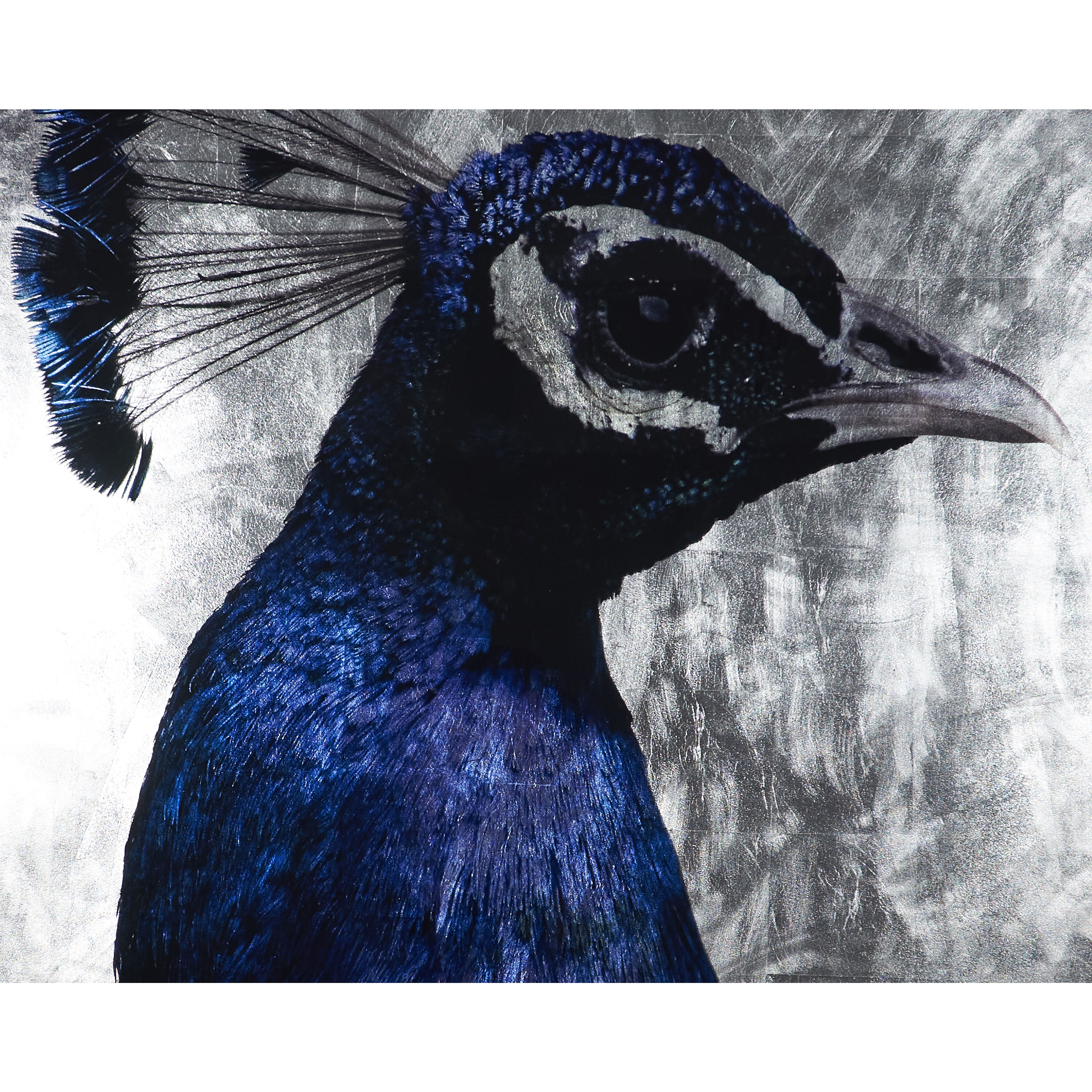 The Peacock Charcoal Luxe Art